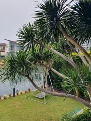 Ocean Drive (D4), Detached #461704111